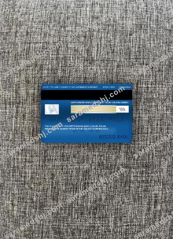 USA ADP Earnings bank visa electron card photolook back